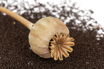 Dried poppy box and spilled seeds, isolated on white background