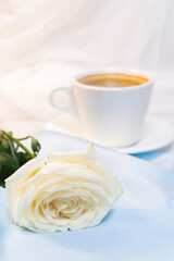 Obraz na płótnie Canvas White rose with a Cup of coffee on a blue background. concept of march 8 and valentine.