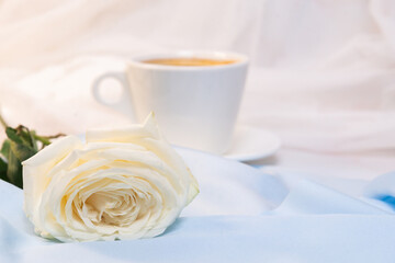 White rose with a Cup of coffee on a blue background. concept of march 8 and valentine.