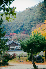 Dosan Seowon Korean Confucian 한국의 서원 도산서원 가을