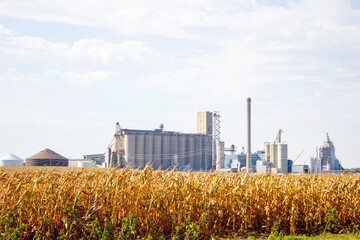 corn field and silos with blue sky