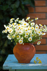 Flower bouquet in vase in front of stone wall. Outdoor arrangement of flowers. Chamomile, camomile, daisy