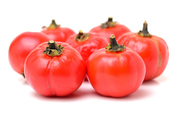 Pumpkin on a Stick, an ornamental eggplant on white background