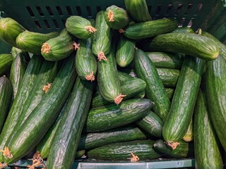 many cucumbers in the market closeup photo top view