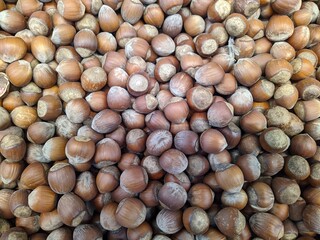 lot of hazelnut in the market closeup photo