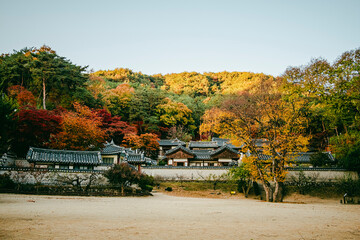 Obraz premium 한국 서원 도산서원 가을