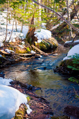 stream in the winter time
