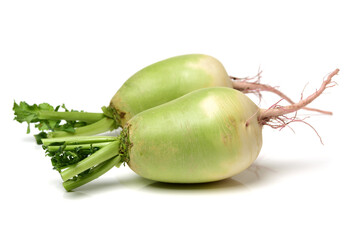 fresh radish isolated on white background