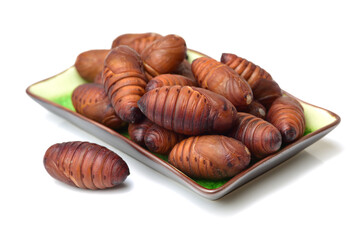 chrysalis silkworm ,silk worm cocoon on white background 