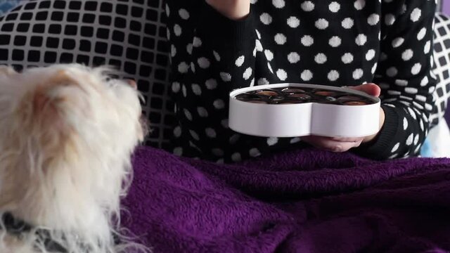 Woman in bed with blanket and dog eating heart-shaped chocolates from valentines gift box