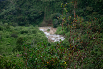 Fototapeta premium beautiful Colombian landscapes to enjoy with the family