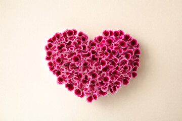 heart shape made by flower
