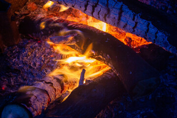 closeup of campfire burning logs