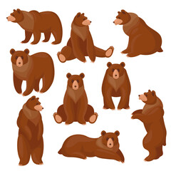 Brown bears set. Different views and poses of cute cartoon grizzly sitting, standing, walking isolated on white. Vector illustrations for wildlife, predators, mammal animals concept - obrazy, fototapety, plakaty