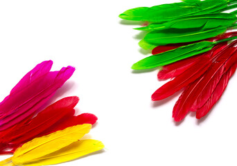 colorful feathers in the form of a border. isolated on white background

