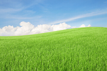 Landscape view of green grass on slope with blue sky background.