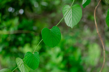 beautiful natural colors of beautiful landscapes