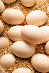 Double yellow stupid egg with characteristics of Northeast China