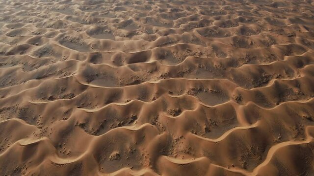 UAE DESERT: Drone flying over breathtaking massive golden sand dunes, Top-down view of the United Arab Emirates's Wild desert. 4k Footage
