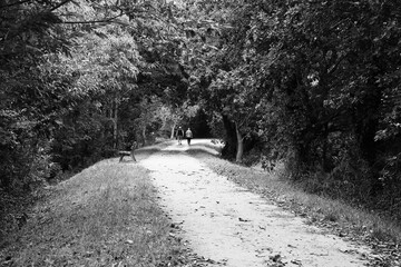 Couple se promenant sur le chemin .