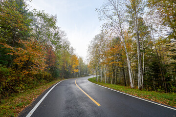 The road on the autumn forests landscape.