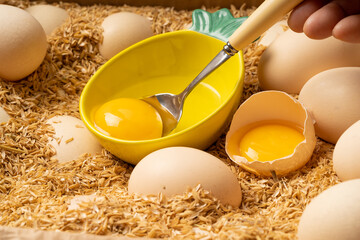 Double yellow stupid egg with characteristics of Northeast China