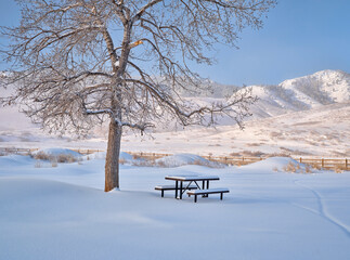 picnic table covered by fresh snow at foothills of Rocky Morning - Lory State Park in northern Colorado