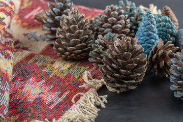 Colorful oak tree cones on a piece of red pattern ethnic rug