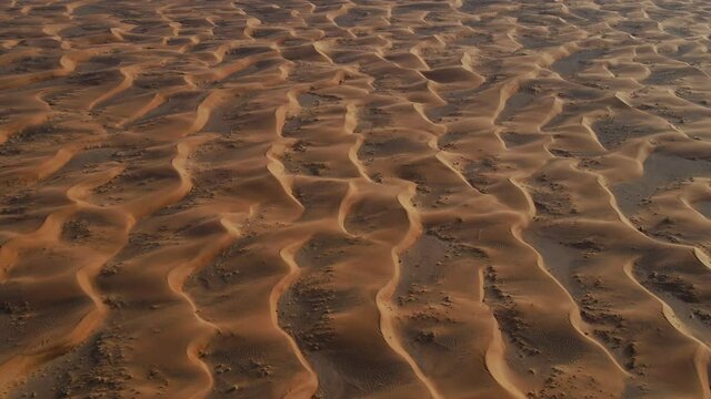 UAE DESERT: Drone flying over breathtaking massive golden sand dunes, Top-down view of the United Arab Emirates's Wild desert. 4k Footage
