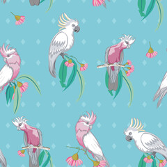 Obraz premium Aqua cockatoos and Galah Australian birds seamless pattern. Vector illustration seamless pattern