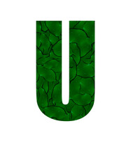 Letter U of the alphabet with a photograph of green leaves with water drops. Letter U made from green leaves isolated on white Photo. Alphabet symbols with green plant pattern texture inside
