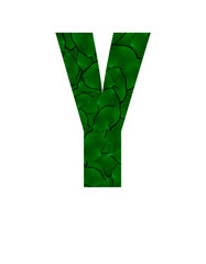 Letter Y of the alphabet with a photograph of green leaves with water drops. Letter Y made from green leaves isolated on white Photo. Alphabet symbols with green plant pattern texture inside