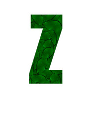 Letter Z of the alphabet with a photograph of green leaves with water drops. Letter Z made from green leaves isolated on white Photo. Alphabet symbols with green plant pattern texture inside