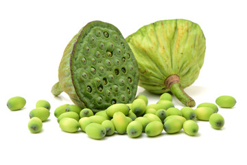 Lotus seed pot (lian zi) - The lotus seeds are used extensively in traditional Chinese medicine and desserts.