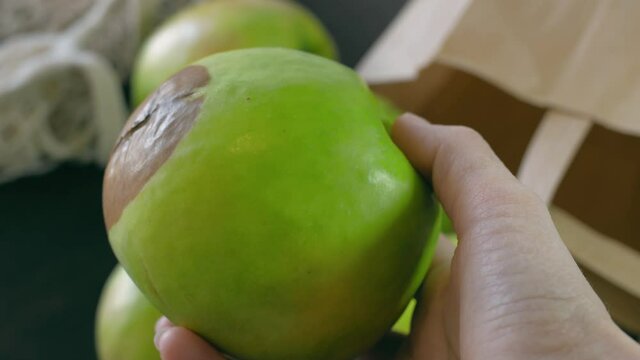 Close-up show a large green apple, slowly turn it clockwise and rot is visible on the apple. From the front side it is beautiful, from the back it is ugly. The concept of duality.