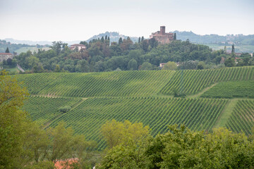 Fototapeta na wymiar Italy, Piedmont. Hill town surrounded by vineyards