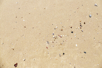 Fototapeta na wymiar Sand on the Beach