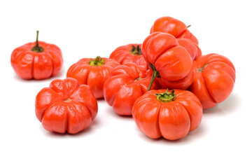 Pumpkin on a Stick, an ornamental eggplant on white background