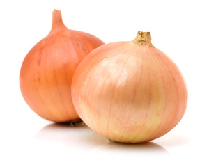 onions on a white background