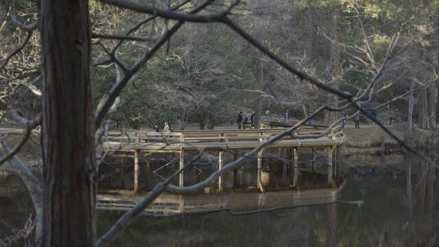 4K tight shot of a group of people taking photos of the pond on walking balcony in a forest on top of a mountain.