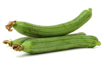 fresh loofah on the white background