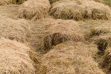 Seats and tables made from straw bales for event and party laid on lawn yard. Straws stubble decorated for sitting in the countryside. Furniture made of pallets and straw bales. Selective focus.