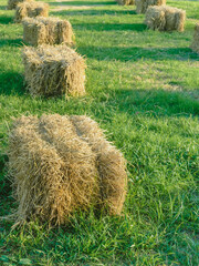 Seats and tables made from straw bales for event and party laid on lawn yard. Straws stubble decorated for sitting in the countryside. Furniture made of pallets and straw bales. Selective focus.