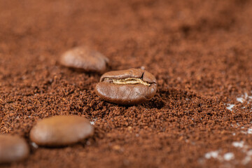 Coffee beans on the blended coffee or cocoa powder
