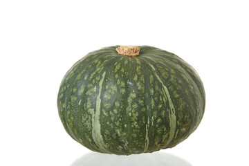 Green pumpkin on the white background