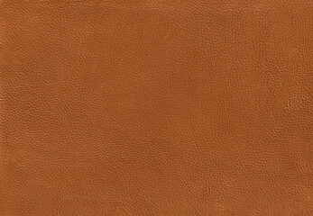 brown leather skin texture background