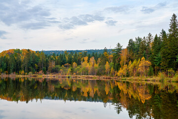 The autumn forests lakeside landscape.