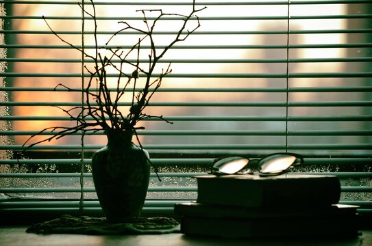 Silhouettes of branches in a vase standing on a windowsill in low light early morning at dawn, next to a stack of books, glasses.
