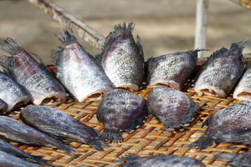 Dried sun gourami fish is dried and on a bamboo