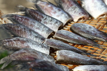Dried sun gourami fish is dried and on a bamboo